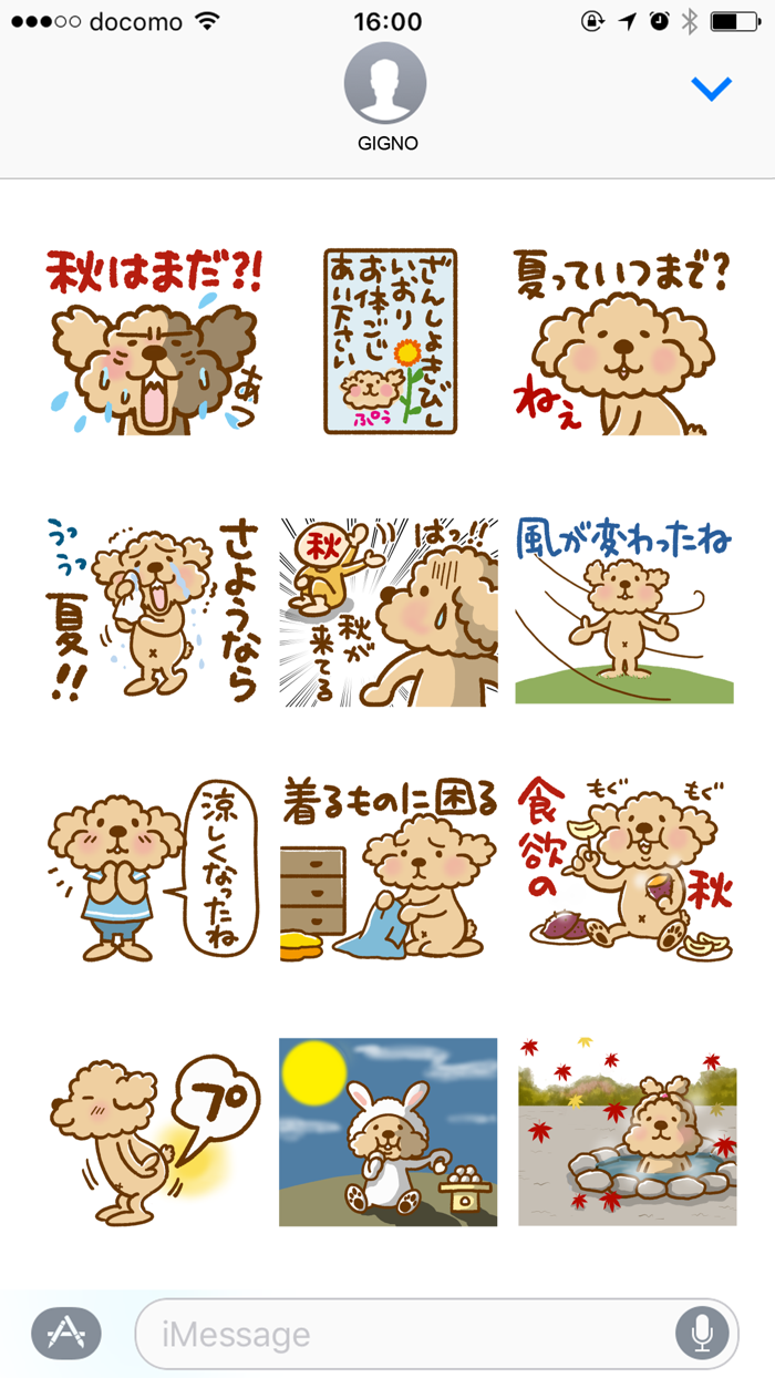 Putaro the Poodle Summer-Fall