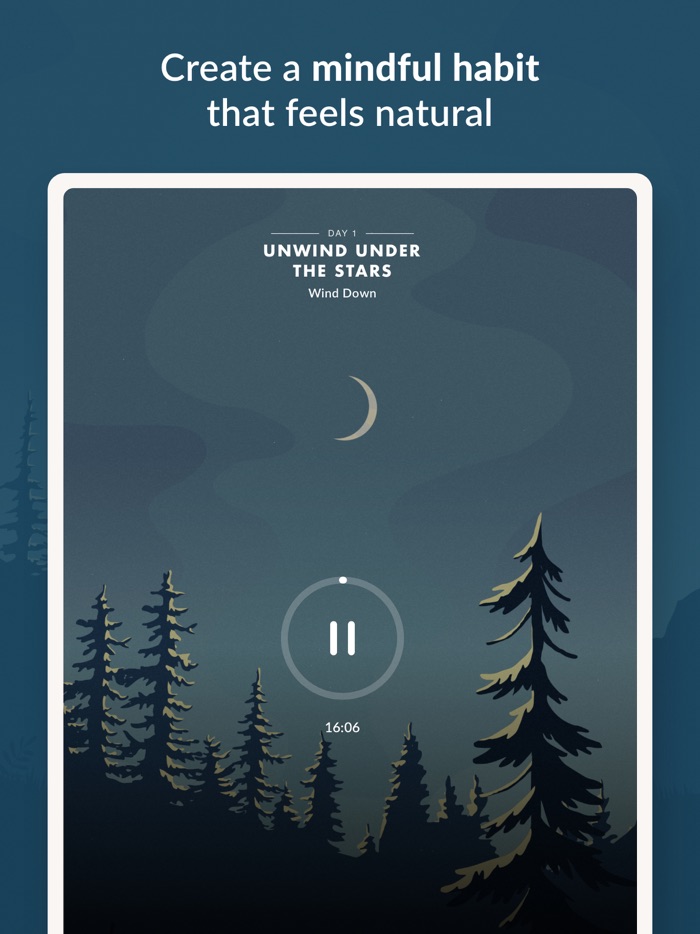 Wild Journey - Nature Sounds