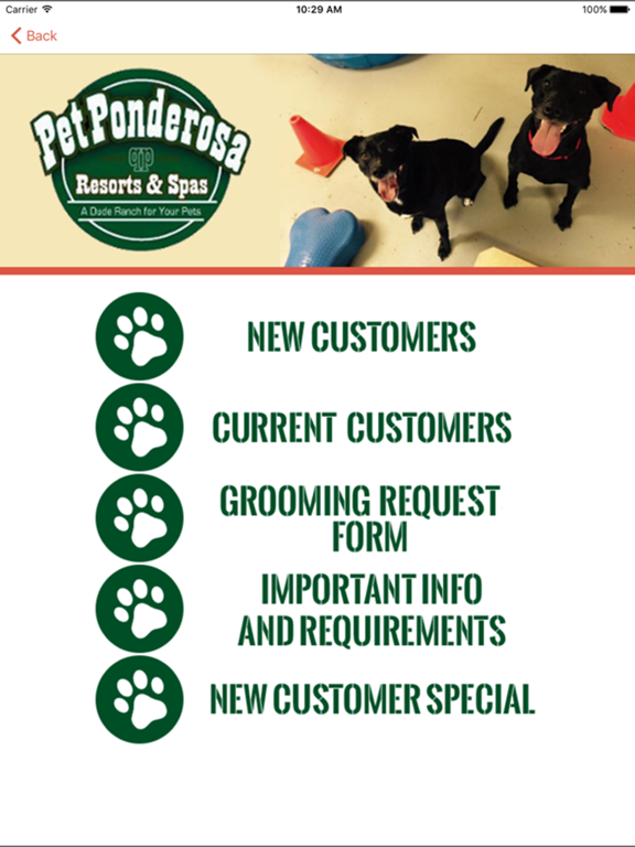Screenshot #6 pour PetPonderosa Resorts & Spas HD