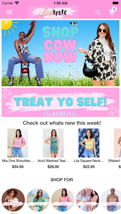 Rich Broke Boutique Screenshot
