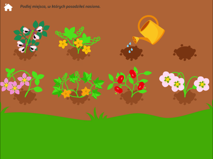 Pszczoła -Edukacja Ekologiczna