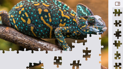 Jigsaw Puzzles Animals Screenshot