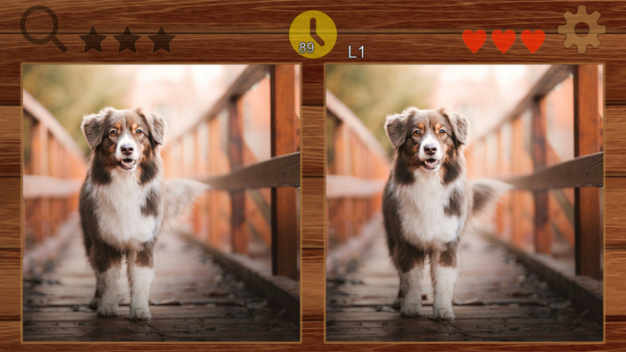 picFind - Find some different