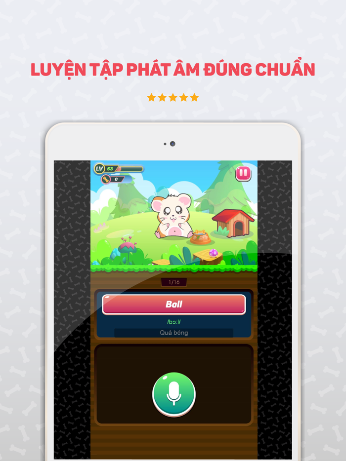 Bucha học Tiếng Anh - English