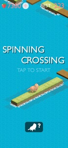 Spinning Crossing screenshot #1 for iPhone