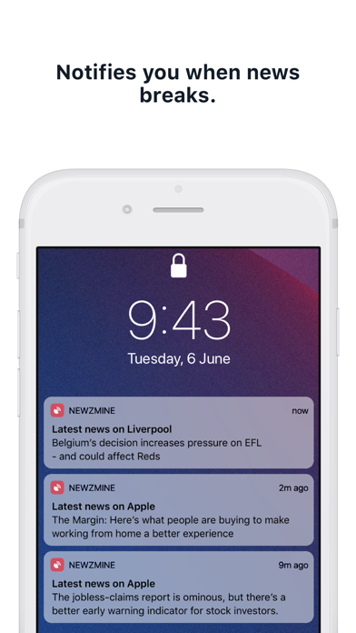 NewzMine Screenshot
