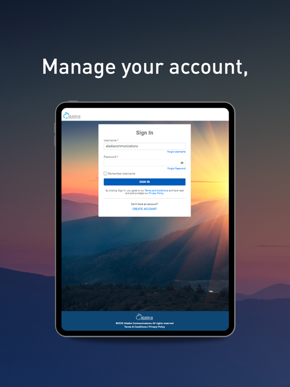 AccountView iPad screenshot 1 - Productivity app