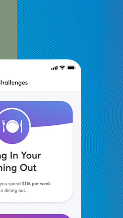 Incentive: Financial Wellness Screenshot