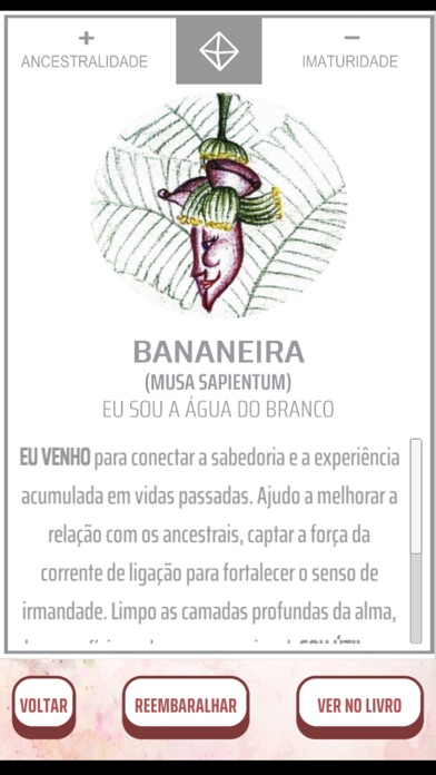 Terapia Floral Screenshot