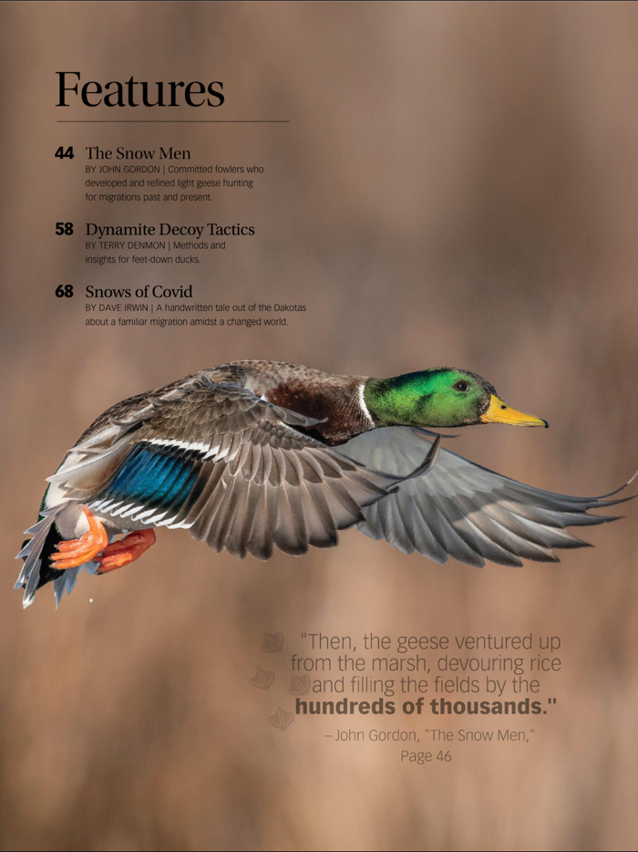 Wildfowl Magazine