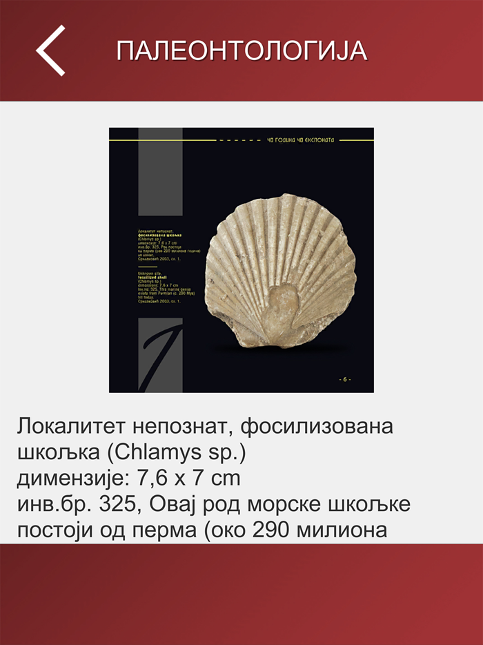 Zavicajni muzej Paracin