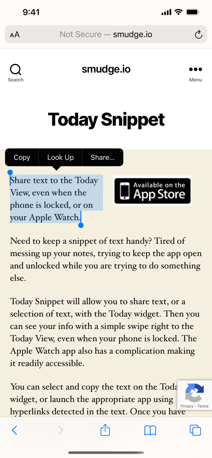 Today Snippet Widget