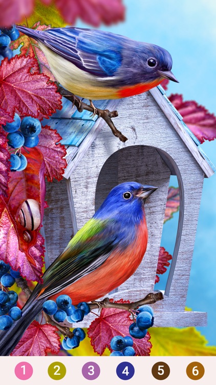 Lucky Color - Color By Number