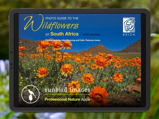Screenshot #4 pour Wildflowers of South Africa