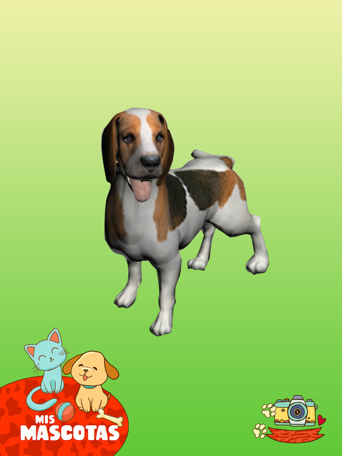 Grupo Clasa Mascotas