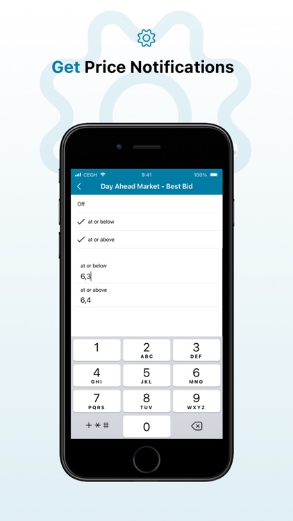 Central European Gas Hub