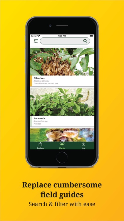 Foraging with the "Wildman"