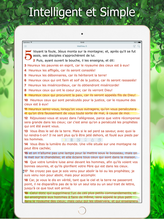 Screenshot #4 pour La Bible Louis Segond + Audio