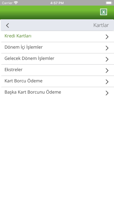 Partner Instalent
