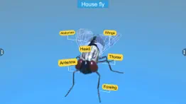 diversity in living:arthropoda problems & solutions and troubleshooting guide - 2