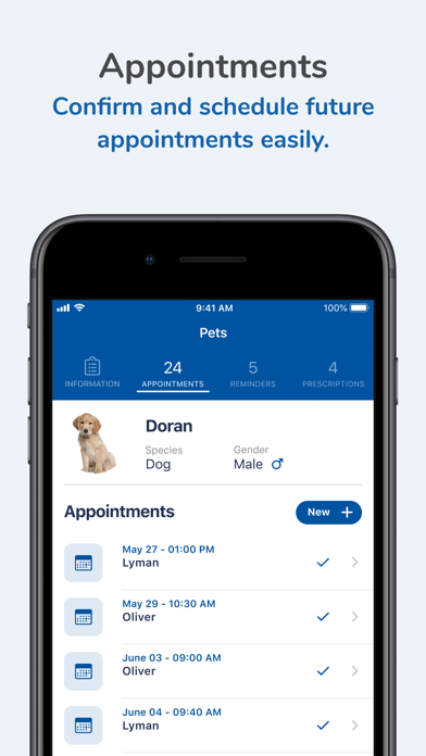 Brandon Lakes Animal Hospital Screenshot