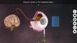 How to cancel & delete the eye (anatomy & physiology) 3