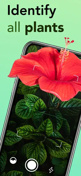 Game screenshot Plant identification - Plants mod apk