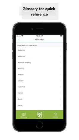 Game screenshot Medical Vocabulary Flashcards apk