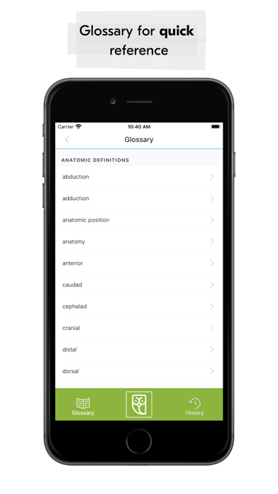 Medical Vocabulary Flashcards Screenshot