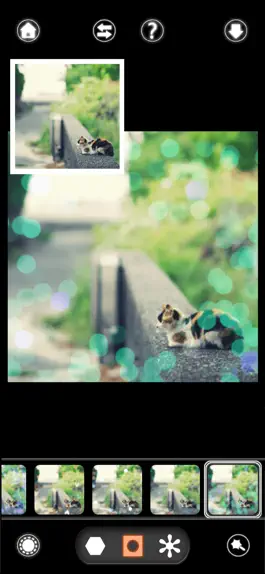 Game screenshot BokehPic-bokeh photo editor hack