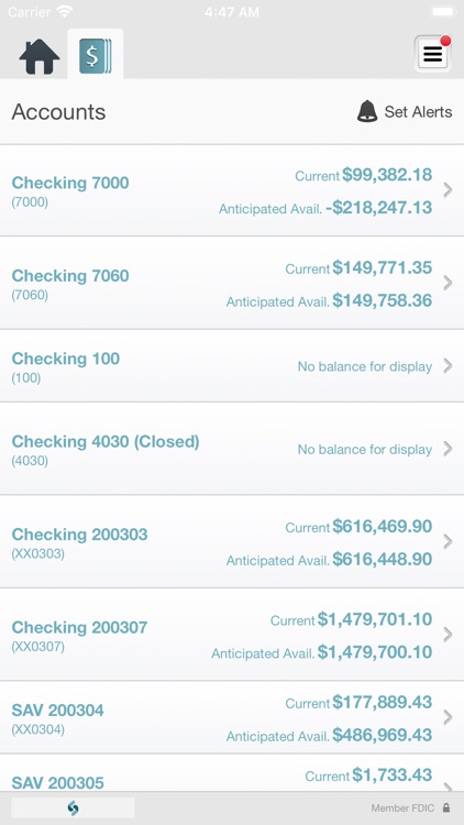 Skyline Business Mobile screenshot-3