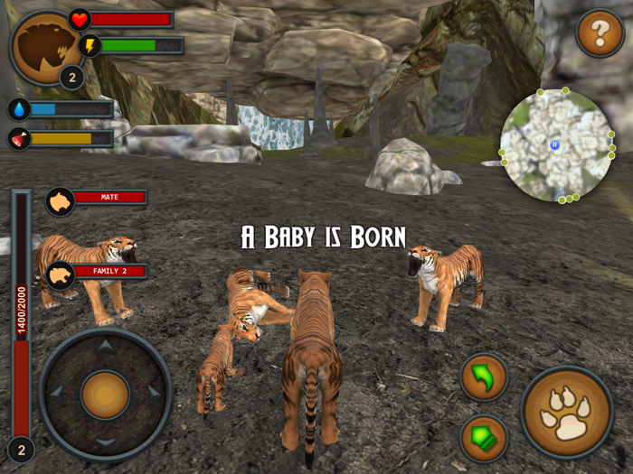 Tigers of the Forest