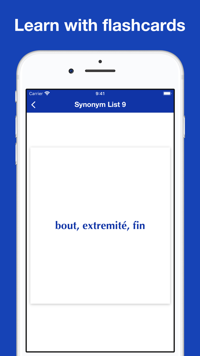 Mastering French Synonyms