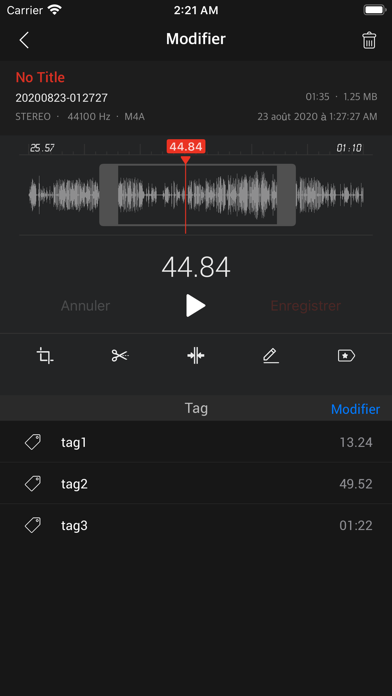 Screenshot #3 pour AVR X - Voice Recorder