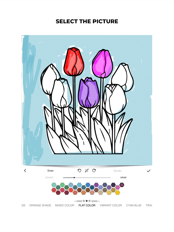 Coloring Sketch Book Pages