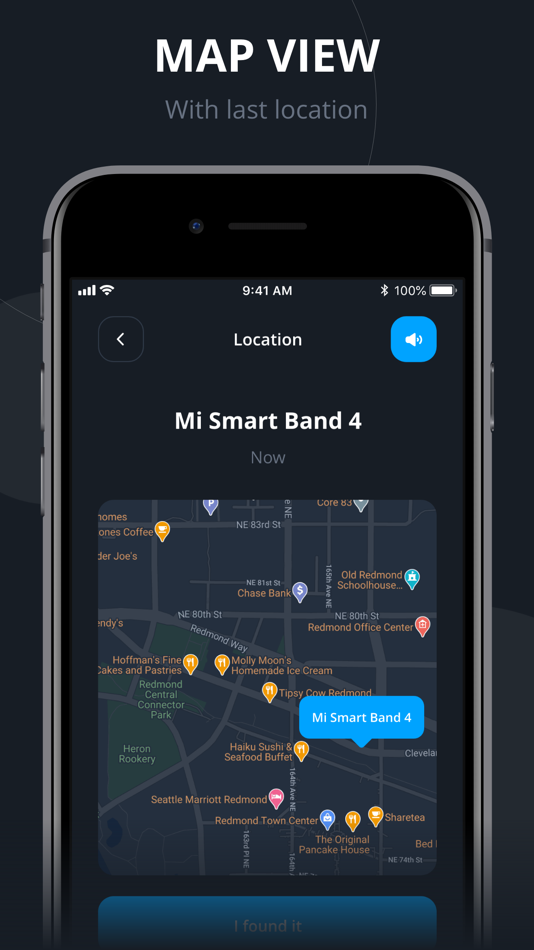 #2. BFind - Detect Devices (iOS) Podle: VestaSRL