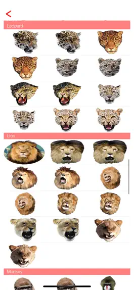 Game screenshot Animal Faces - Heads Camera apk