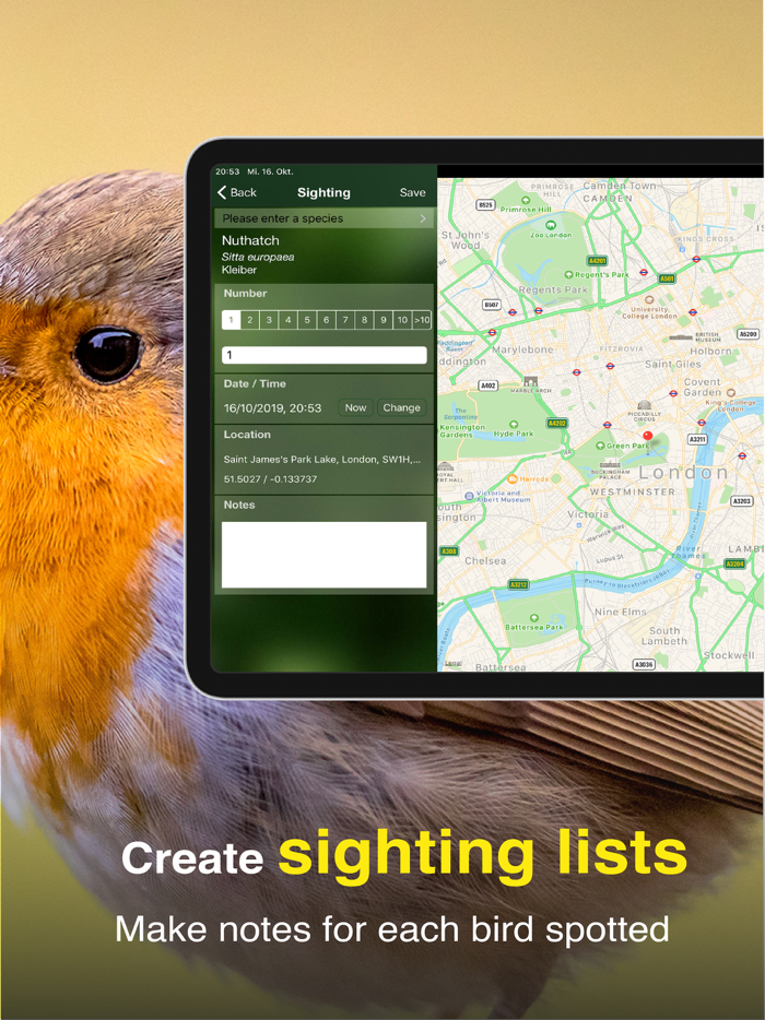 All Birds UK - the Photo Guide