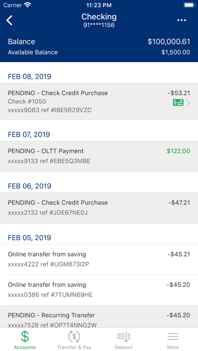 Coastal Carolina National Bank Screenshot