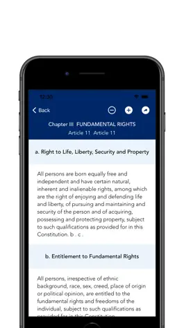 Game screenshot Liberia's Constitution hack