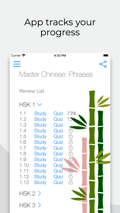 Master Chinese: Phrases Screenshot