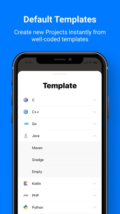 CodeSnack IDE
