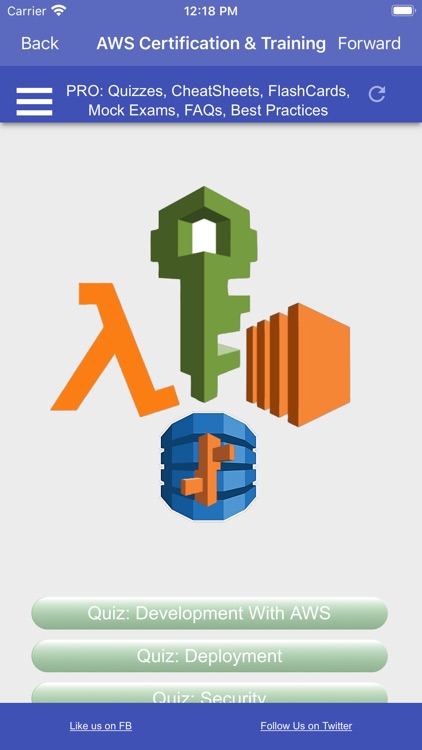 AWS Certified Developer Assoc.