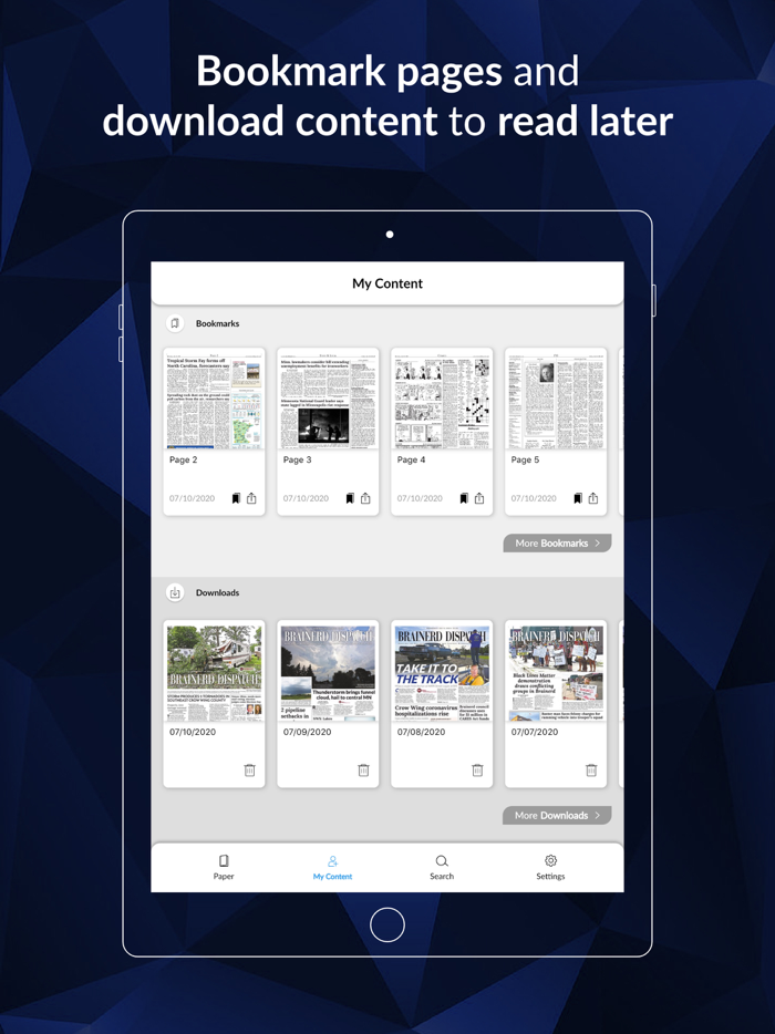 Brainerd Dispatch E-paper