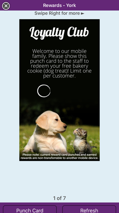 Morgan's Paws Pet Care Center Screenshot