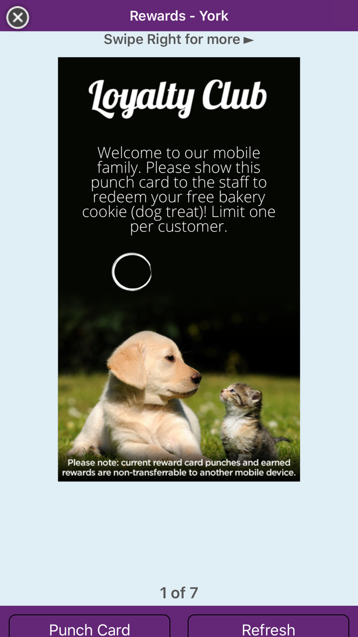 Morgans Paws Pet Care Center