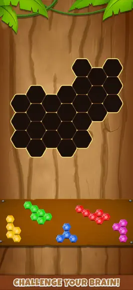 Game screenshot Hexa puzzle : Block blast hack