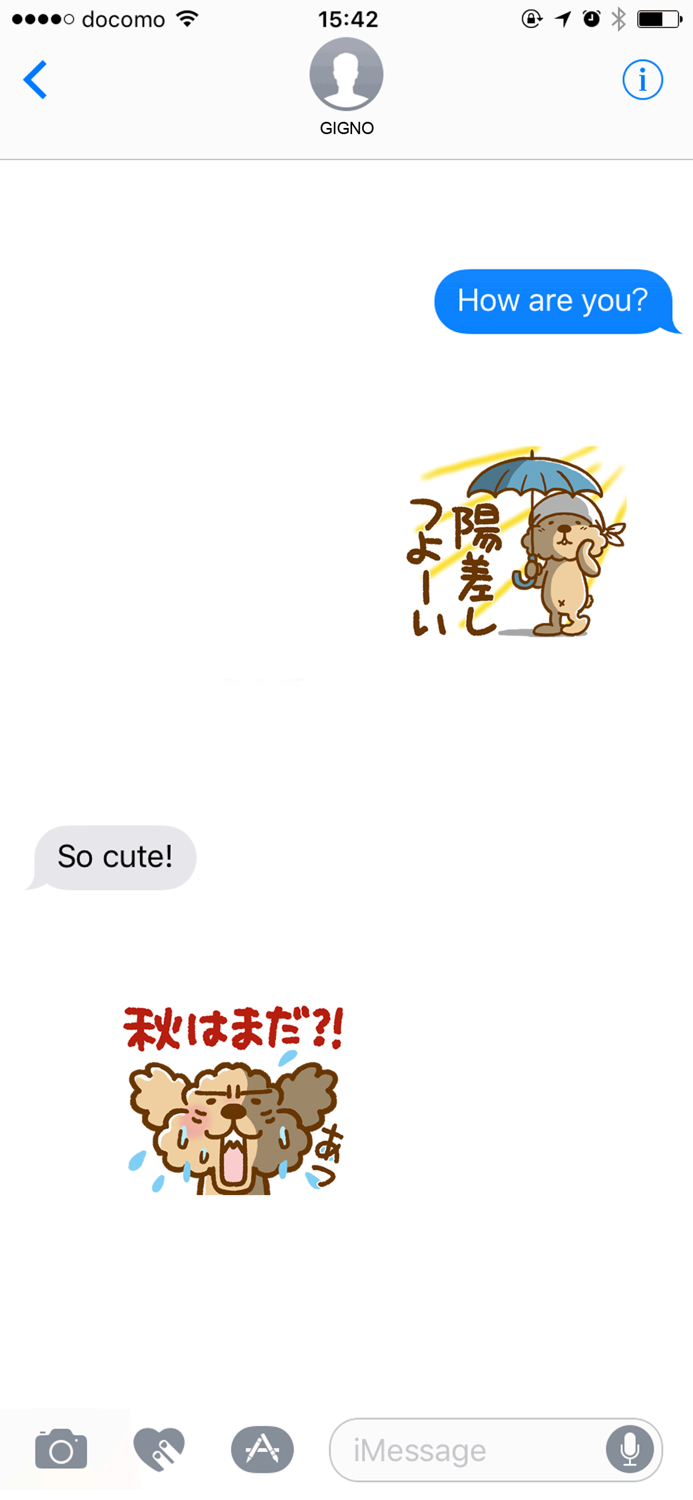 Putaro the Poodle Summer-Fall