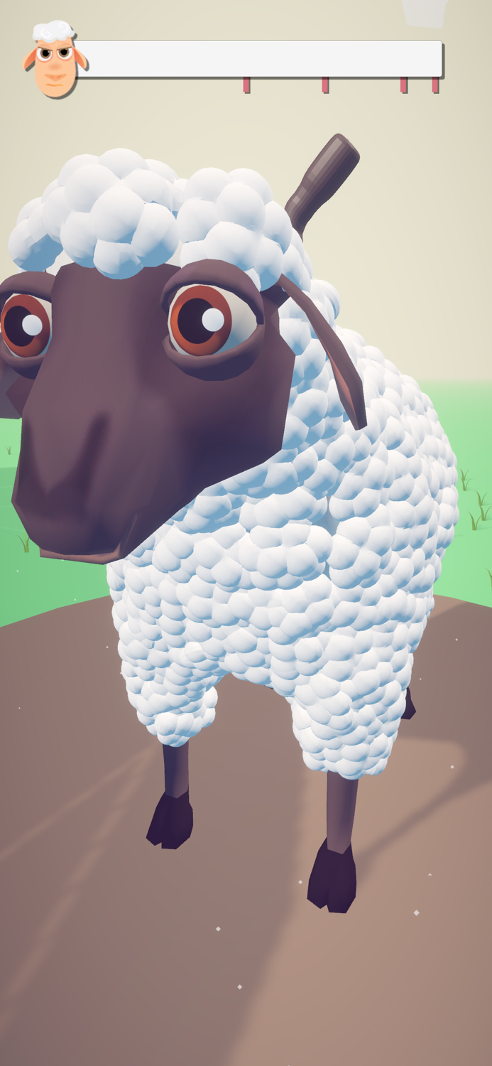 Sheep Shear
