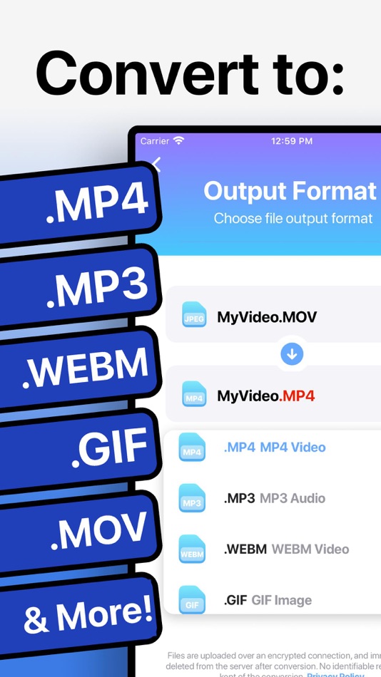 #1. The Video Converter (iOS) By: Float Tech, LLC
